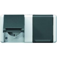 JUNG 8220 W - Type F - Black - White - Thermoplastic - IP44 - Universal - 250 V