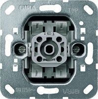 GIRA 010700 - Metallic - 250 V - 10 A