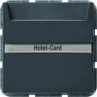 GIRA Hotel-Card-Taster anth System55 014028