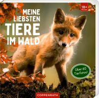 Coppenrath Meine liebsten Tiere im Wald