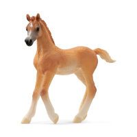 Schleich Horse Club        13984 Araber Fohlen Schleich