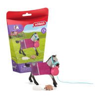 Schleich Horse C. Spielspa? mit Fohlen| 42534