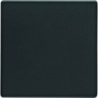 Berker 16206086 - Anthracite - Duroplast - 10 pc(s)