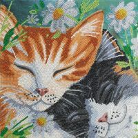  Crystal Art Leinwandbild Katzen 30x30 cm