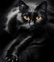  Diamond Painting Schwarze Katze (Design 25x35)30x40 cm