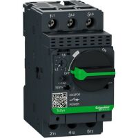 APC GV2P06 - Miniature circuit breaker - IP20