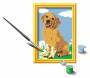 Ravensburger CreArt 28511 - Kleiner Golden Retriever - Malen nach Zahlen Hund für Kinder ab 7 Jahre