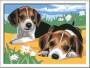 Ravensburger CreArt 28329 - Jack Russel Welpen - Malen nach Zahlen Hunde für Kinder ab 7 Jahre