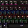 Nedis Wired Gaming Keyboard / USB / Mechanische Tasten / RGB / Französisch / FR-Layout / Stromversorgung über USB / Netzkabellänge: 1.70 m / Gaming