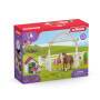 Schleich Horse Club        42458 Hannahs Gastpferde m.Hündin Ruby Schleich