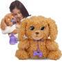 IMC Baby Paws Interaktiver Labradoodle