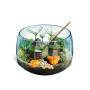 Clementoni Clemen Harry Potter - Terrarium| 19248