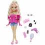 Mattel Barbie Dream Besties Barbie Malibu Doll