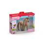 Schleich Sofia's Beauties  42621 Beauty Horse Tekkiner Hengst Schleich