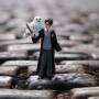 Schleich Wizarding World Harry Potter & Hedwig      42633 Schleich