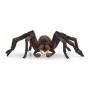 Schleich Wizarding World Aragog                     13987 Schleich