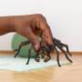 Schleich Wizarding World Aragog                     13987 Schleich