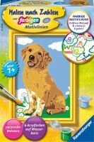 Ravensburger CreArt 28511 - Kleiner Golden Retriever - Malen nach Zahlen Hund für Kinder ab 7 Jahre