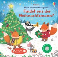 dtv-Verlagsgesellschaft mbH&Co.KG Mein Lichter-Klangbuch: Findet uns der Weihnachtsmann?