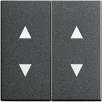 GIRA 115028 - Anthracite - GIRA - 1 pc(s)