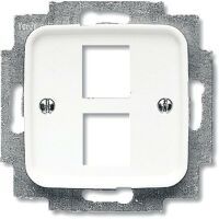 BUSCH JAEGER Zentralscheibe aws für 2 Modular Jack 2561-02-214