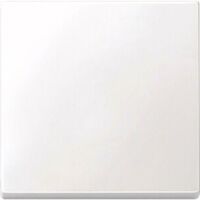 MERTEN 434119 - Buttons - White - Duroplast - 1 pc(s)