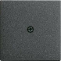 GIRA 027428 - Anthracite - Conventional - 1 pc(s)