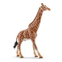 Schleich Wild Life 14749 - 3 yr(s) - Boy/Girl - Africa - Multicolour - Plastic