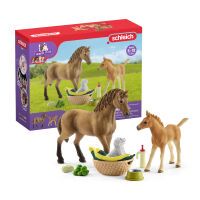 Schleich Horse Club        42432 Sarahs Tierbaby-Pflege Schleich