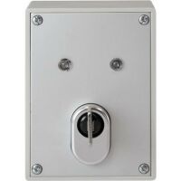 Abus AP-SCHLÜSSELSCHALTER (SE1000)