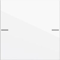 Gira WIPPENSET 1F TASTSENS.4  RWS (575103 SYSTEM 55)