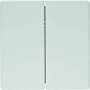 Berker Q.X NEP TASTE 2F.POLARWS SAMT (85142129)