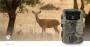 Nedis Wildlife Kamera| 4Ka10fps| 48.0 MPixel| 4 CMOS| IP66| Schwarz No-Glow IR