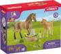 schleich® Horse Club 42432 Sarahs Tierbaby-Pflege