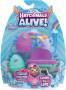 Spin Master Hatchimals Colleggtibles -Water Hatch Nurture Pack #1  (S13)