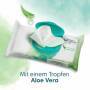 Pampers Feuchte Tücher Newbaby Aloe 24 Packungen 