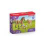 Schleich Horse Club        42432 Sarahs Tierbaby-Pflege Schleich