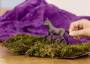 Schleich HC Paso Peruano Fohlen 13954