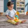 Mattel Fisher-Price Beat Bande esring & Sing Fuchs Bruno (D)