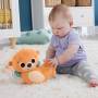 Mattel Fisher-Price 2-in-1 Wippender Otter zum spielen in der Bauchlage