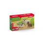 schleich® FARM WORLD 42660 Schaffreunde