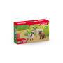 schleich® FARM WORLD 42660 Schaffreunde