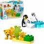 LEGO® DUPLO 10442 Wildtier-Familien: Pinguine und Löwen